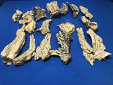 Orchid Air Plant Succulent Bark Mount  Pre Wired Mixed Sizes 17 Pieces Orchids