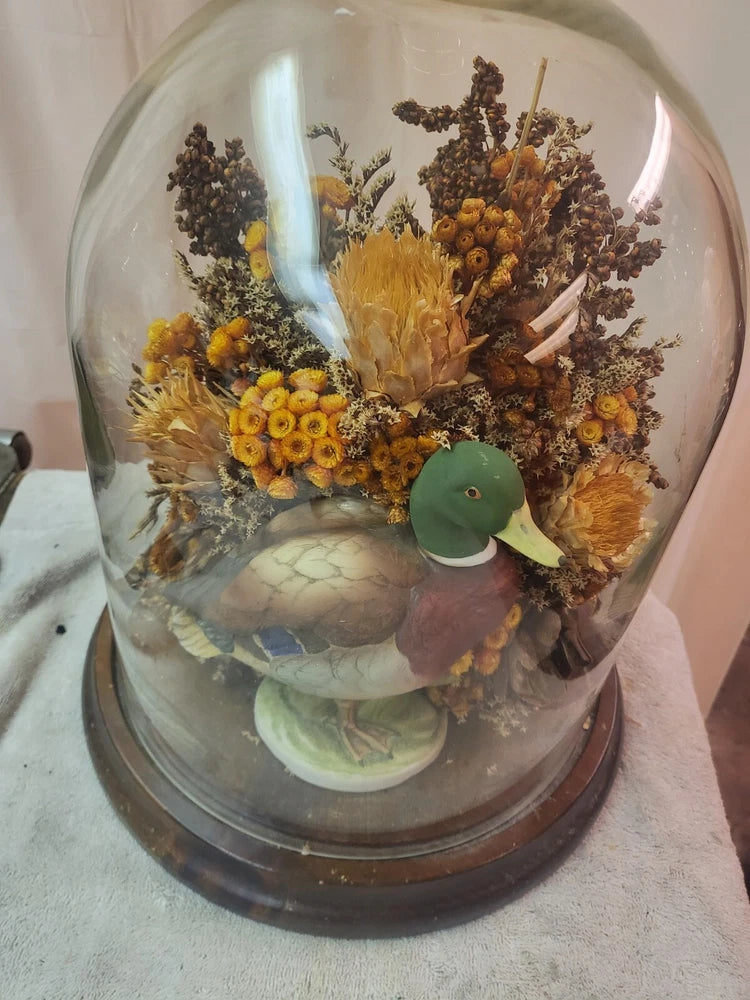 Glass cloche dome with preserved dried floral bouquet in warm yellow and brown tones