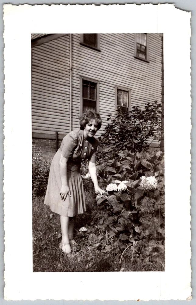 Vtg B&W Snapshot Woman In Pleated Dress Gardening Hydrangea Flowers House 1940s Hydrangea