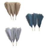 3Pcs Dried Pampas Grass Phragmites Reed Flower Flower Arrangement Bunch Gift Dried Flower