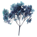10g Mini Dried Hydrangea Flower Natural Pressed Flower Gradient Purple Dried Flower