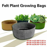 Felt Plant Growing Bag Vegetable Potato Pot Container Garden Planting Basket Garden Plants