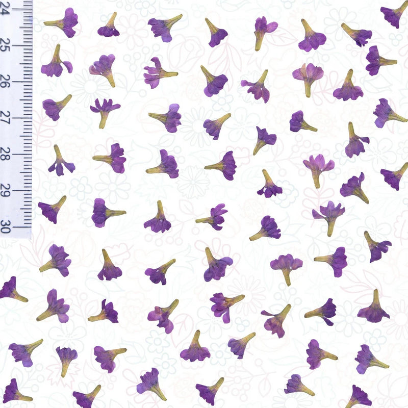 Pressed purple flowers with stems on white resin-craft backing sheet