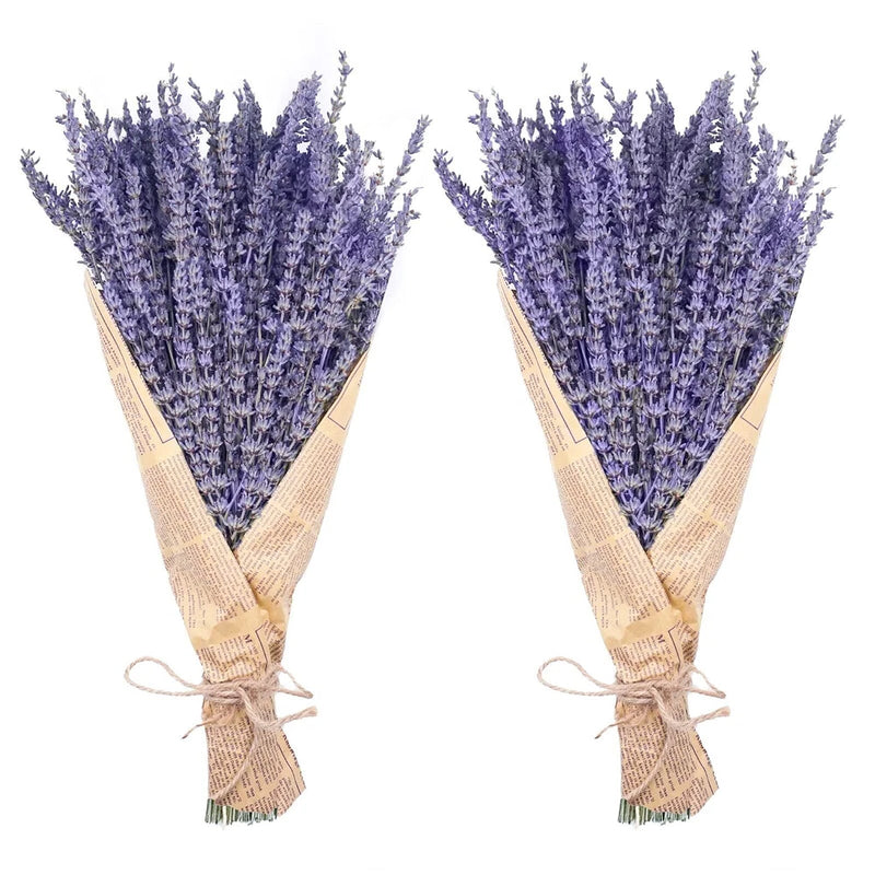 Two dried lavender bundles with purple flower spikes, tied twine, 16-inch
