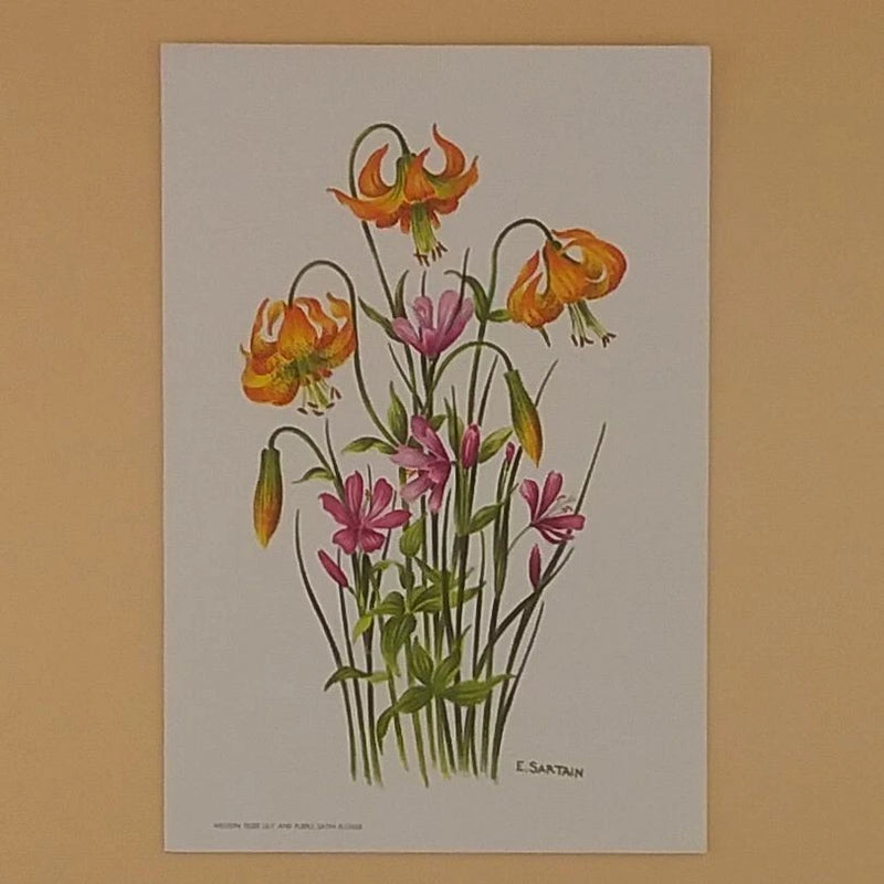 Vintage Greeting Card, Tiger Lily & Purple Satin Flower By E. Sartain - Not Used Lily