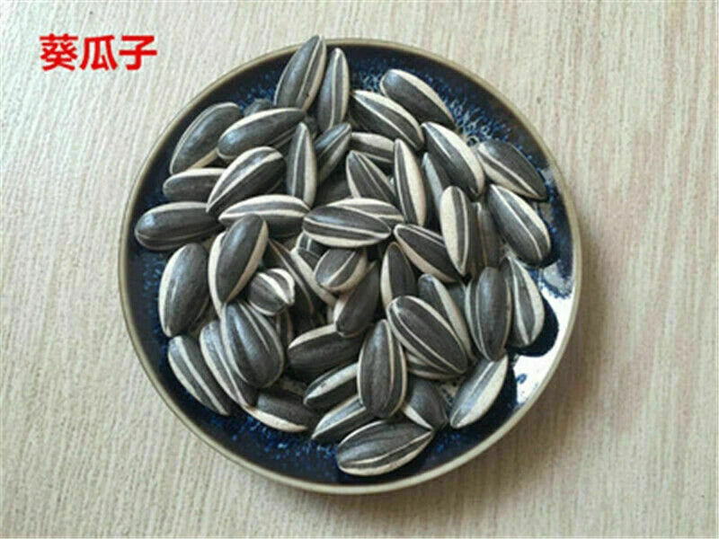 US 100pcs Art Ai Weiwei Porcelain Sunflower Seeds Decoration Collection Ornament Sunflower