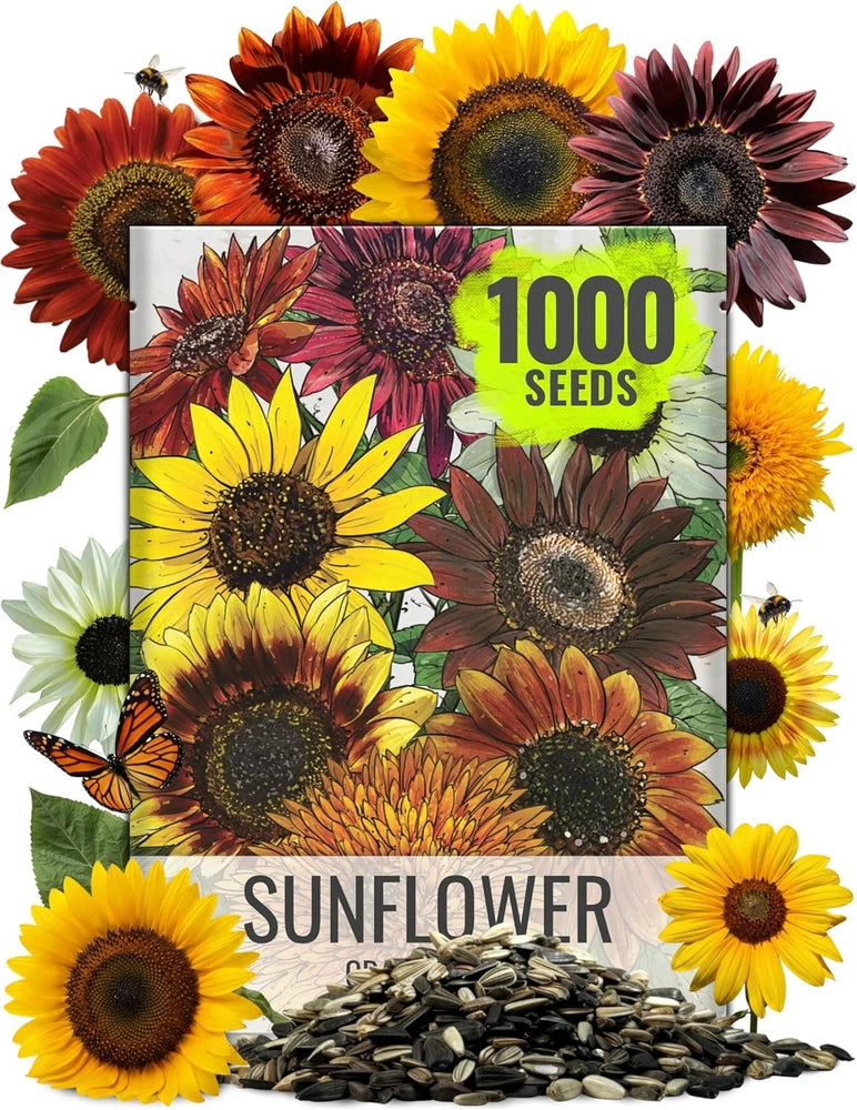 Sunflower seed packet with mixed colorful sunflower illustrations and "1000 seeds" label