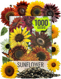 Sunflower  for Planting the Original Crazy Blend | 1 Ounce 15+ Heirloom Varietie Sunflower