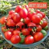 50+ Seeds Grappoli Corbarino Tomato Juicy Easy to Grow Vegetable Garden Planting Garden Plants