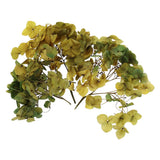 10g Mini Dried Hydrangea Flower Natural Pressed Flower Gradient Dark Dried Flower