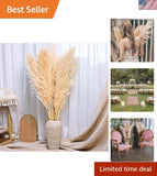 40-Inch Cream Pampas Grass Decor Tall 10-Pcs XXL Size Natural Boho Plants Dec... Pampas Grass