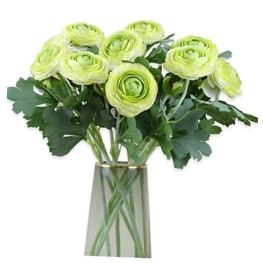 Artificial Ranunculus Flowers with Real Touch Stem, Silk Ranunculus 10 Green Ranunculus