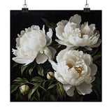 White Peonies Flower Art Print, White Flower Painting, Flower DŽcor 12 Peony