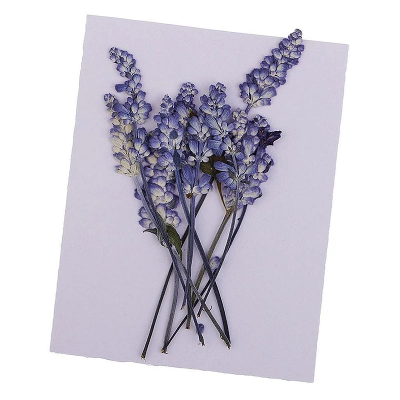 Pressed flower embellishments bundle with blue-purple leaves and stems for card making