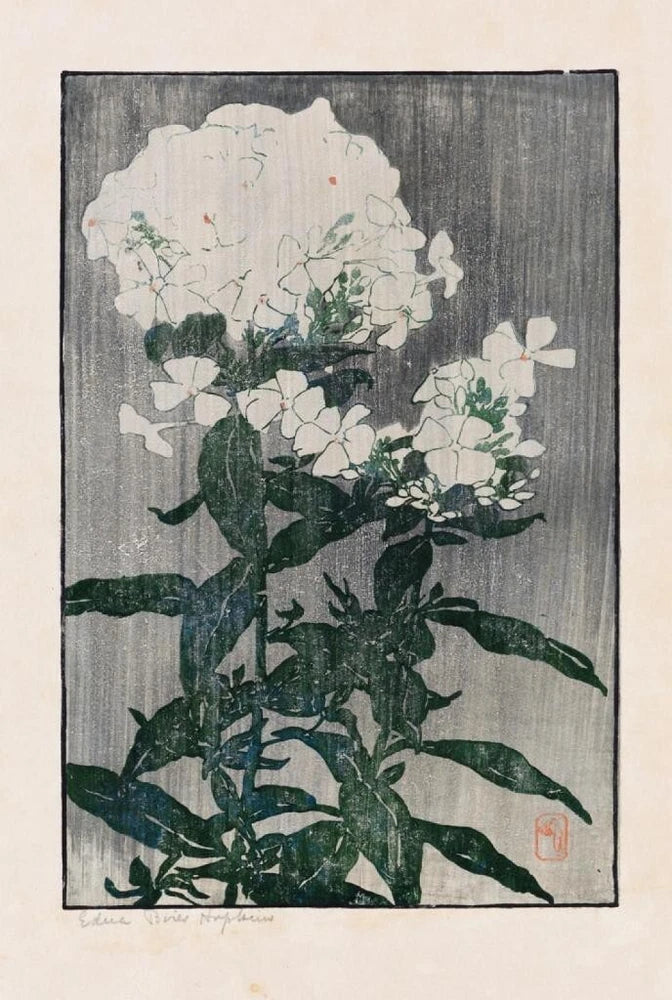 White Hydrangea Edna Boies Hopkins 1917 Arts and Crafts American Floral Woodcut Hydrangea
