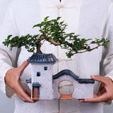 Garden Decoration Succulents Ceramic Living Room House Model Desktop Flower Pot Garden Plants