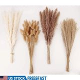 Natural Dried Pampas Grass Bouquet 100 Pieces Decor Home Wedding Events New Pampas Grass