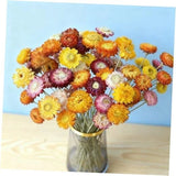 20Pcs Natural Dried Daisy Flowers Bouquet - Multicolor Daisy Dried Sunflowers Dried Flower