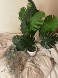 Two Faux Aesthetic Plants Decor Home Bedroom Plants 6Ó, 20Ó Green Plant