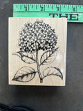 2012 Hero Arts Large Hydrangea Flower Cards Summer Floral Notes Scrapbook Hydrangea