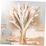 Natural Pampas Grass 8kind Grass Mix Bouquet | Dried Pampas Bouquet for 93PCS Pampas Grass