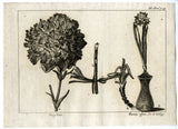 Antique Print-CARNATION-FLOWER-VASE-PL.III.93-Pluche-1799 Carnation