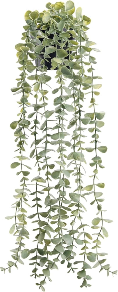 Hanging artificial potted faux eucalyptus plant with cascading green leaves