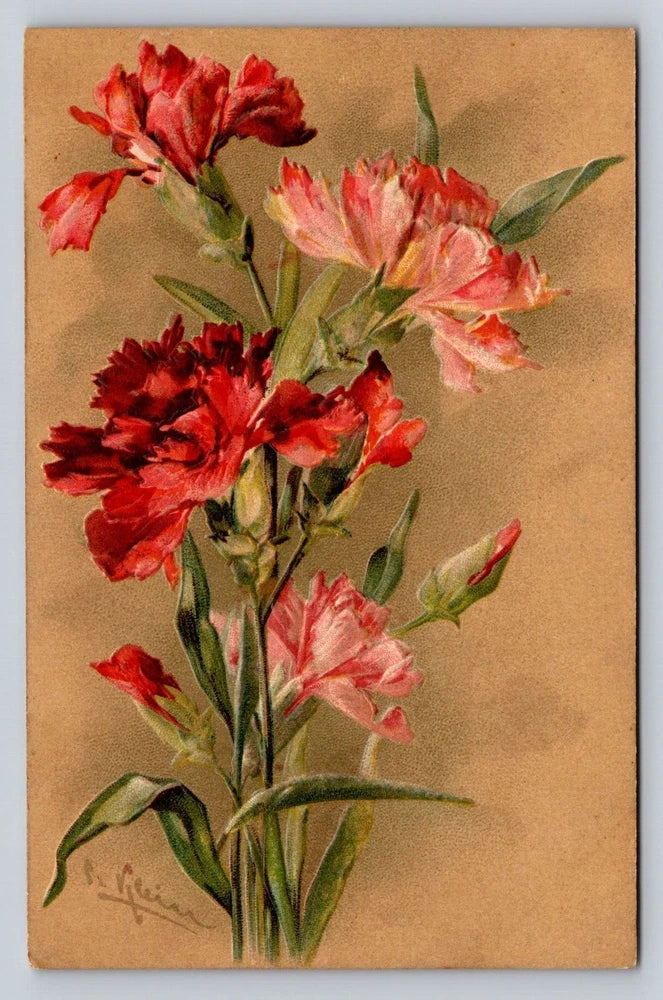 Antique carnation flower postcard with red and pink blooms and green leaves