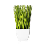 Pemberly Row 11.5" Contemporary Plastic Artificial Potted Grass in Green Green Plant