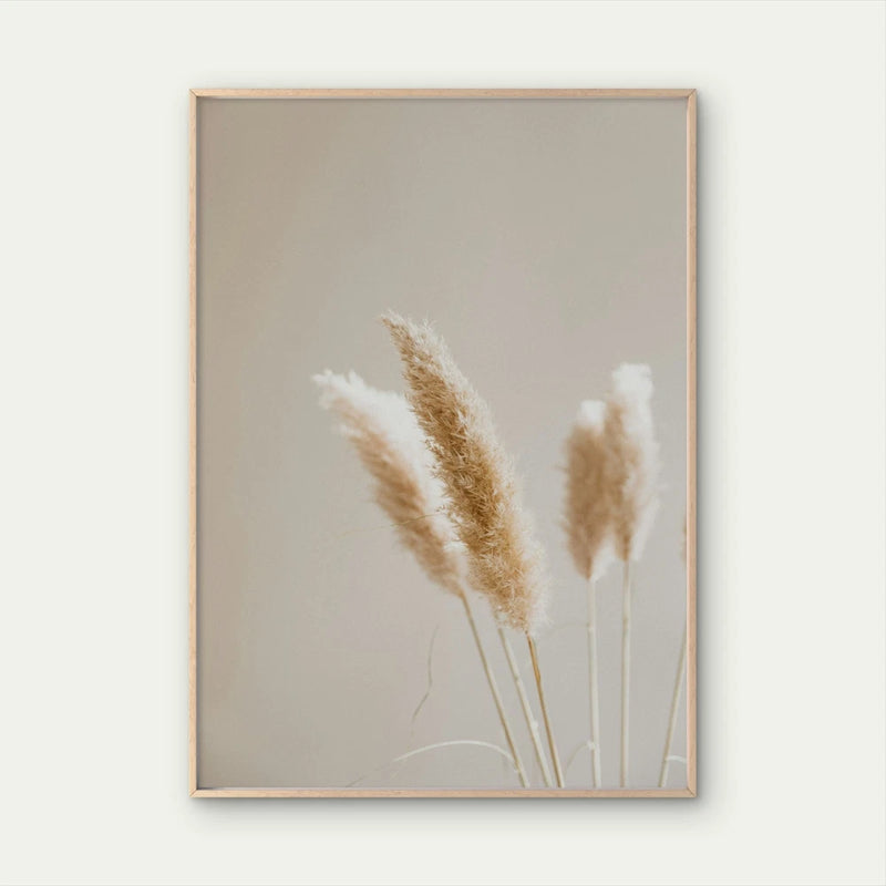 Fluffy Dried Pampas Grass Stems Photo  Wall Art Poster Choose Your Size Pampas Grass