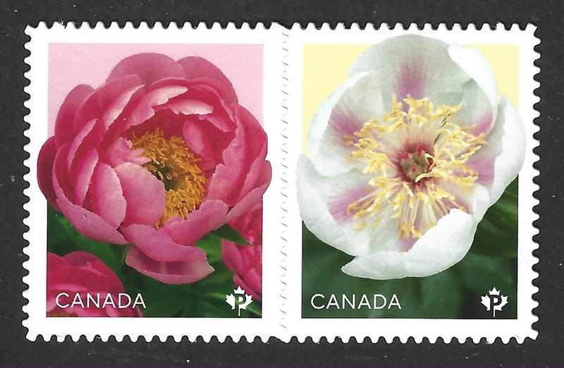 Unused Canada peonies stamp pair, horizontal se-tenant, two floral peony designs