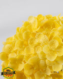 DuHouse 3pc Yellow Hydrangea Flowers, Real Touch Latex, Long Stem, Home Decor Hydrangea