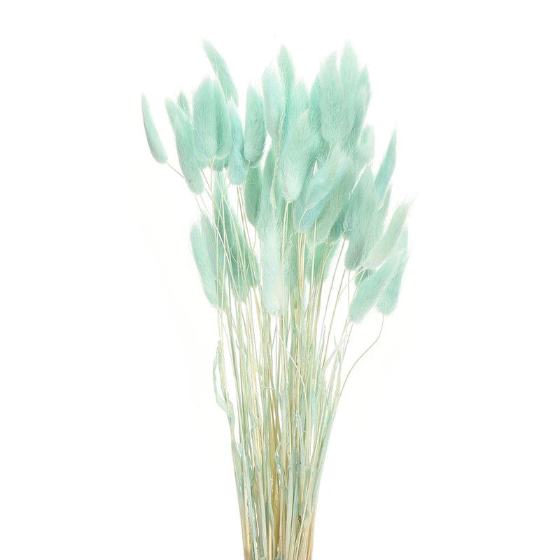 60pcs Natural Bunny Tails Dried Flowers 17" Mini Grass, Sky Blue Dried Flower