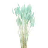 60pcs Natural Bunny Tails Dried Flowers 17" Mini Grass, Sky Blue Dried Flower