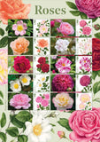 GB 2026 MINT ROSES LS183 COLLECTOR SHEET *SPECIAL PRICE* Roses