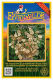 50 Money Plant Wildflower Seeds - Everwilde Farms Mylar Seed Packet Garden Plants