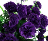 CARNATION GRENADIN KING OF BLACKS Dianthus Caryophyllus - 200 Bulk Seeds Garden Plants
