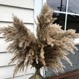 30pcs Dried Flower Fluffy Grass Party Decor Rabbit Tail Artificial Flower Pampas Grass
