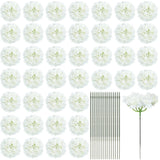 Janinka 60 Pieces Silk White Hydrangea Artificial Flowers Heads Full Hydrange... Hydrangea