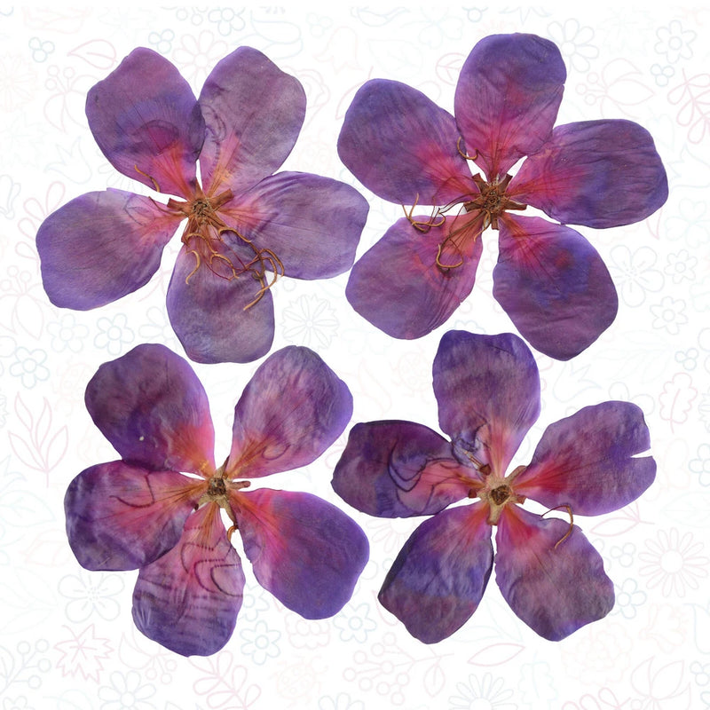 Pressed 5-petal flowers, purple-blue, loose bundle for resin and card making