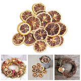 Homyl Natural Dried Lemon Slice Pressed Dried Flower DIY Scrapbooking Crafts Dried Flower
