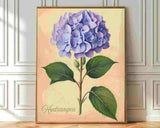 Blue Hydrangea Botanical Canvas Wall Art Vintage Cottage Garden Floral Decor Hydrangea