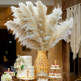 20pcs 40'' Pampas Grass Tall Decor - Pompas Floral, 20PCS-Nature-40", Bro Pampas Grass