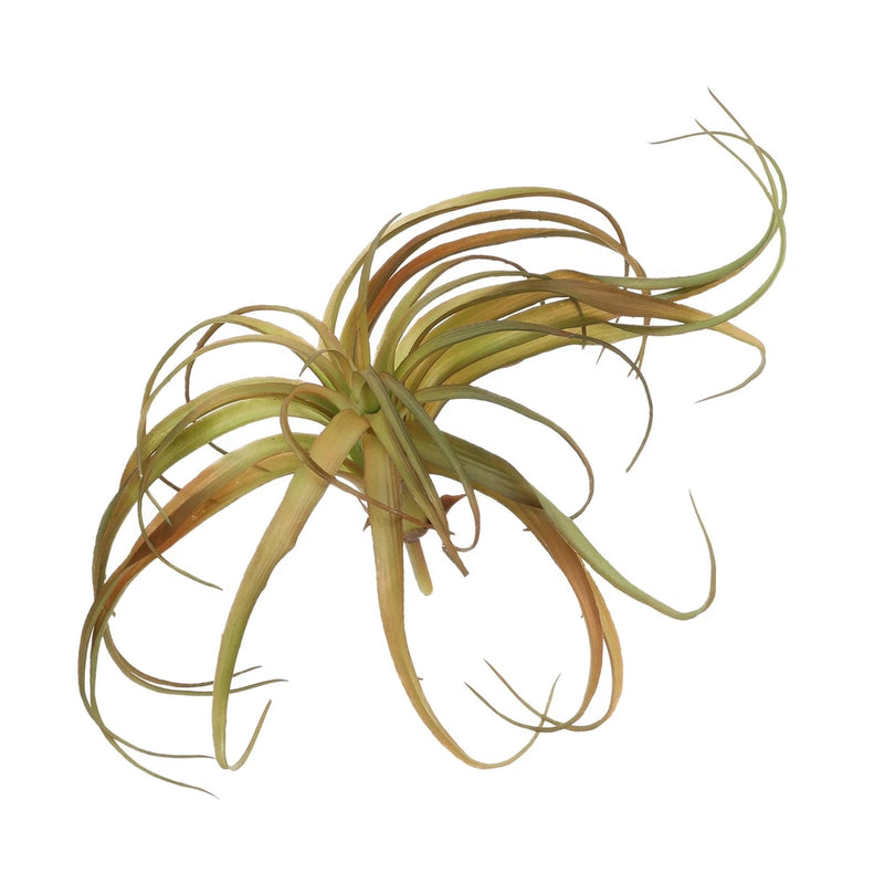 Artificial pineapple grass succulent plant, tufted green and brown leaves