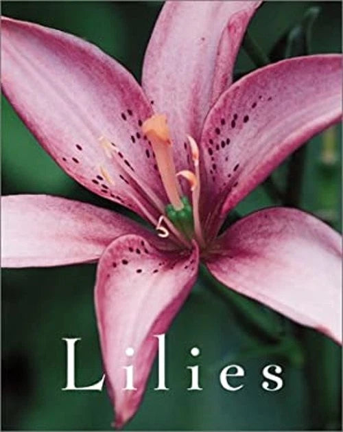 Lilies hardcover book cover with pink lily flower and bold 'Lilies' title text