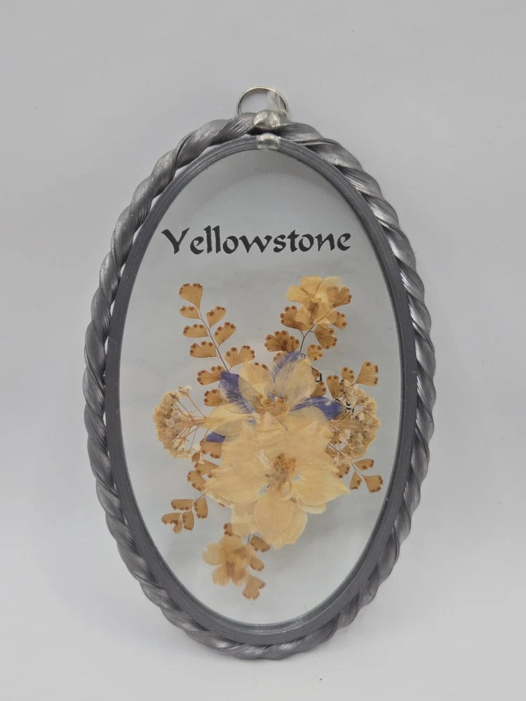 Vintage Yellowstone Pressed Flower Souvenir Wall Hanging Frame Dried Flowers Dried Flower