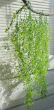 2 Pcs Green Plastic Admiralty cane rattan Artificial Plant Hangings (V7) Green Plant