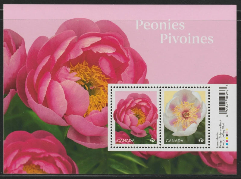 Canada peonies souvenir sheet of 2 stamps, pink flower designs with perforations