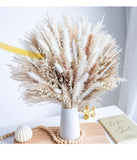 86PCS Natural Dried Pampas Grass Boho Home Decor Pampas Grass