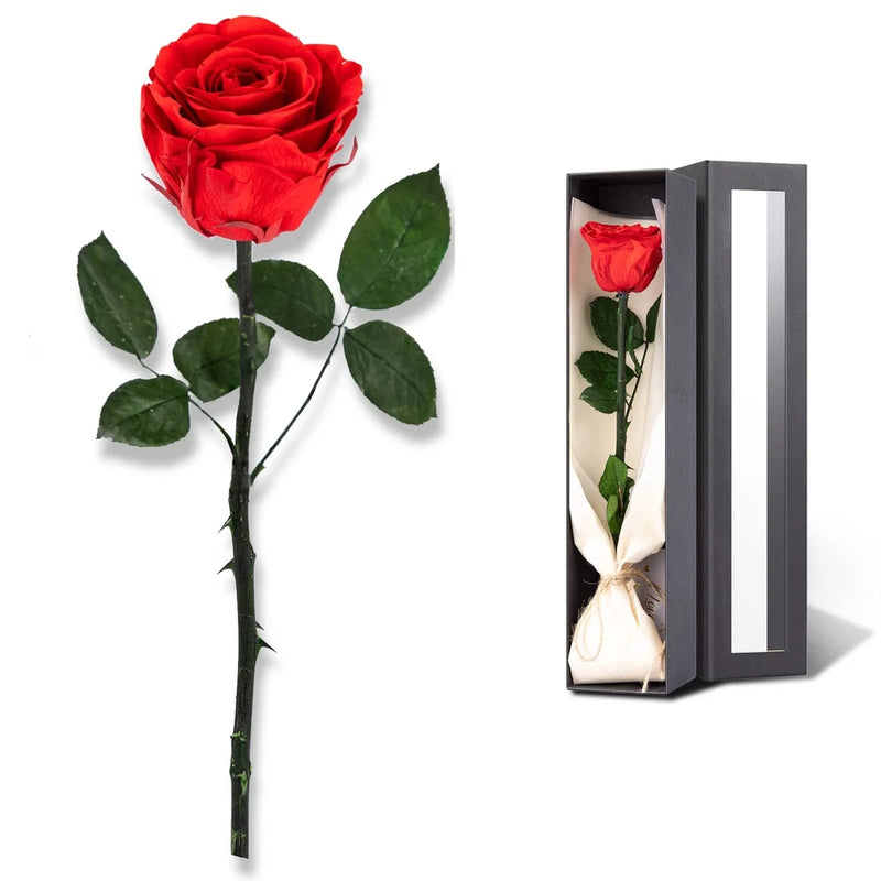 Red preserved rose on a green stem with leaves